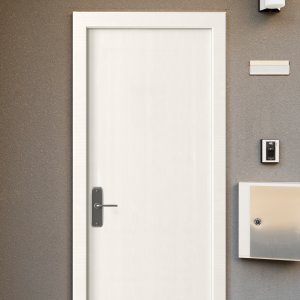 Puerta modelo popular Blanco Polar