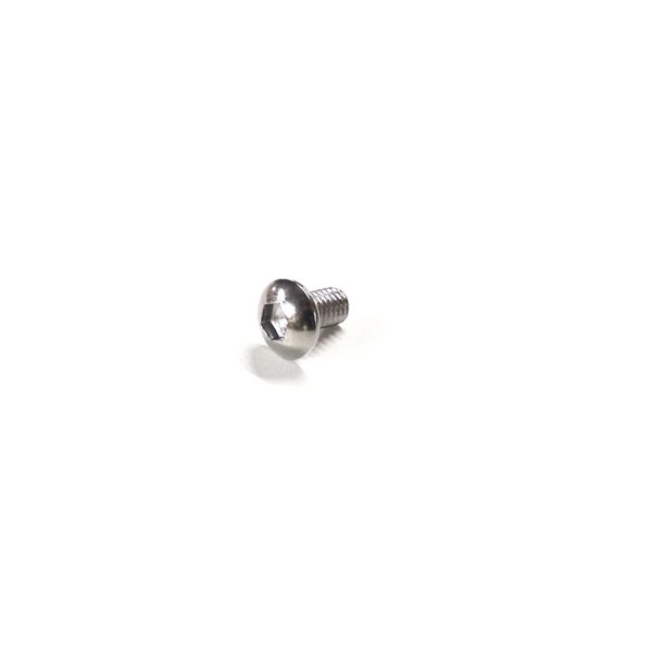 Tornillo p/bisagra de puerta seguridad F-0047-1001
