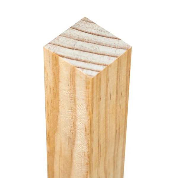 Pinotea 2" x 2"x 10'