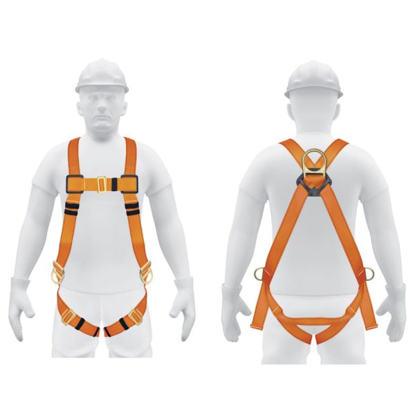 Arnes completo S-0012-0030 - Imagen 2