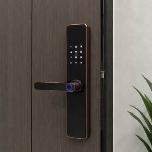Cerradura inteligente Digital HD-639