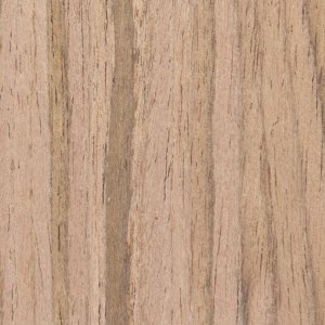 Chapa de Madera EV .WT1968-3C