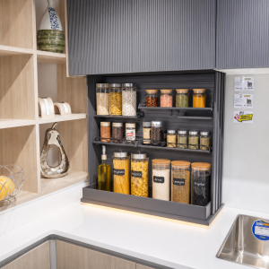 Organizador eléctrico para especies